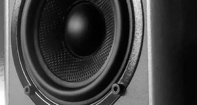 ZX9 Speaker